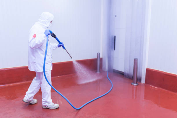 Best Patio and Deck Pressure Washing  in Saugerties South, NY